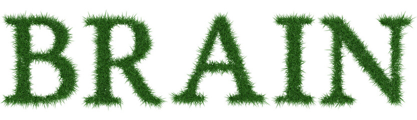 Brain - 3D rendering fresh Grass letters isolated on whhite background.