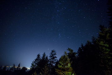 Naklejka premium Sleeping Under the Stars