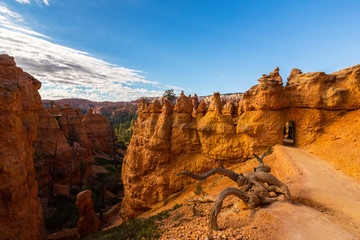 Landscape in Bryce Canyon, with red sandstone columns and beautiful, bright, sky, in autumn