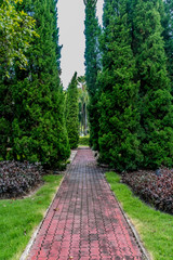 Concrete Pathway in garden