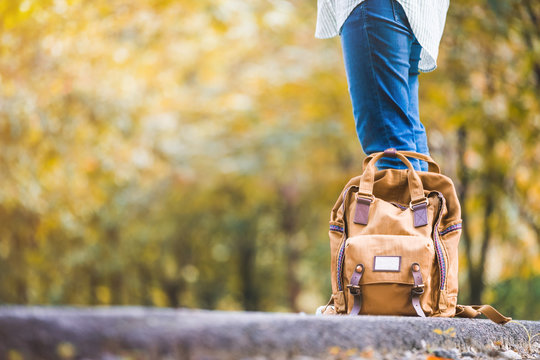Close up backpack of woman backpacker standing on countryside road with tree in autumn fall seasonal,Alone travel or single traveller concept