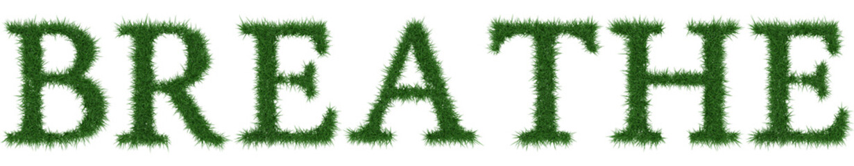 Breathe - 3D rendering fresh Grass letters isolated on whhite background.