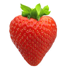 Red berry strawberry