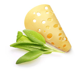 Cheese and Sage leaves isolated