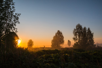 Beautiful sunrise in early morning