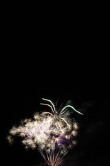 Firework