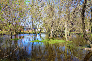 Spring flooded trees with blossoming buds in the Kolomenskoye museum-reserve with arena of the international knight festival Tournament of Saint George on the background