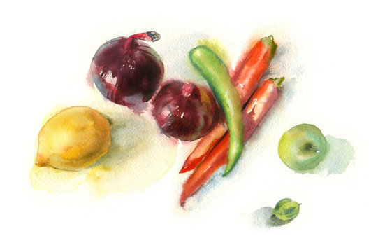 Watercolor painting. Still life with vegetables on a white background.