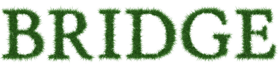 Bridge - 3D rendering fresh Grass letters isolated on whhite background.