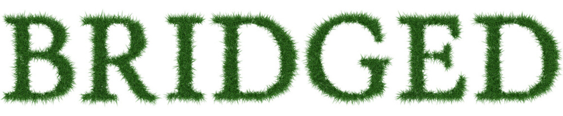 Bridged - 3D rendering fresh Grass letters isolated on whhite background.