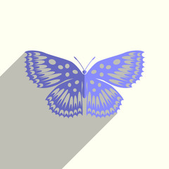 Fototapeta na wymiar Butterfly flat icons with of shadow. Vector illustration