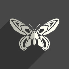 Plakat Butterfly flat icons with of shadow. Vector illustration