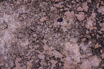Concrete floor white dirty old cement texture