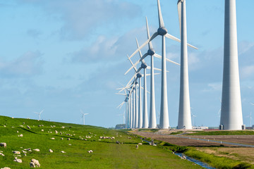 Windmills on the field