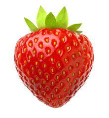 Red berry strawberry