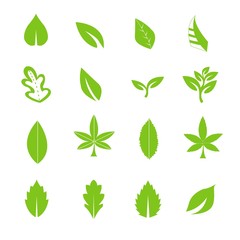 green leave icons set vector