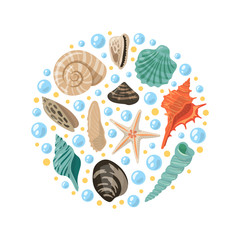 Different tropical shells in circle shape. Vector aquatic concept illustrations
