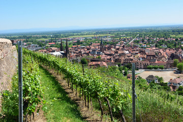 Fototapeta na wymiar Obernai in Frankreich. Blick von oben 