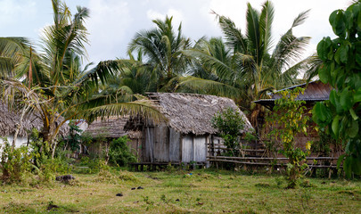 Africa malagasy huts in Maroantsetra region, Madagascar