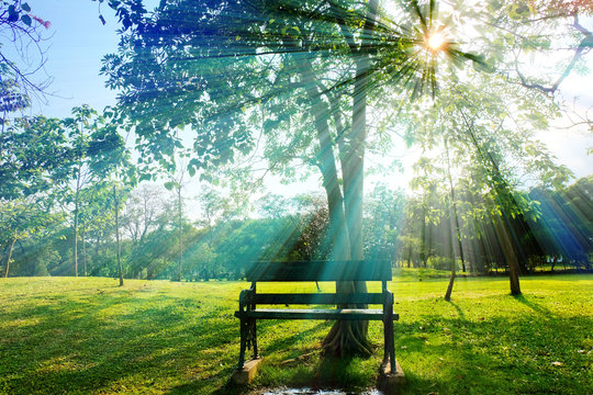 Krerk photos, images, assets | Adobe Stock