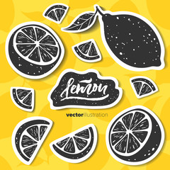 Lemon set. Hand drawn black lemon stickers on lemon seamless pattern. Vector illustration. - 169505394