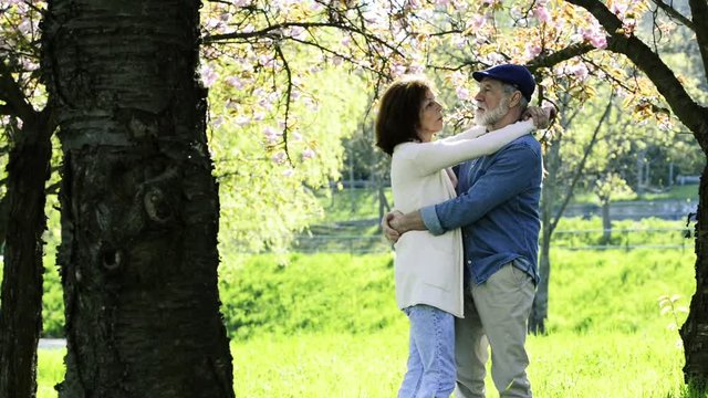 Senior couple hugging under the cherry blossom tree.