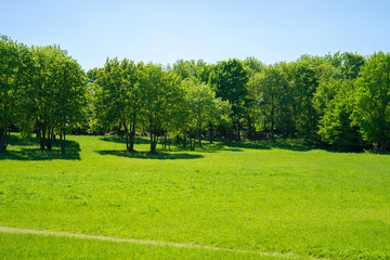 Quiet park view