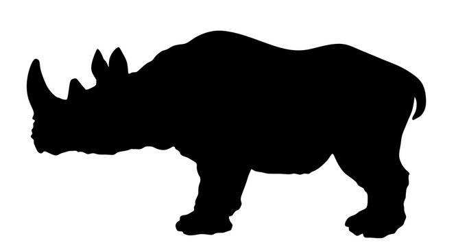 Rhinoceros vector silhouette illustration isolated on white background.