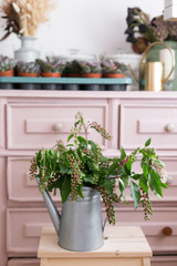 Herbal plant: Indian pokeweed. Phytolacca acinosa. which is locally used relief from pain.