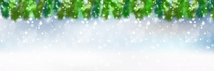 Fototapeta na wymiar クリスマス　雪　モミの木　背景