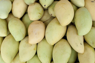 Mangoes