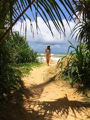 young woman walking arond jungle in sri lanka