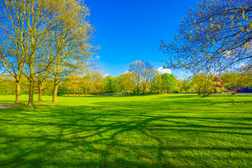 Beautiful park in sunny day