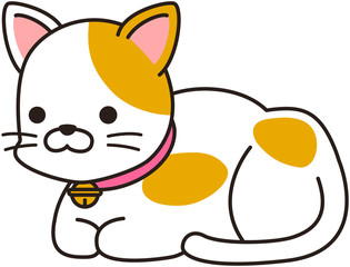 猫 ねこ ペット 飼い猫 ポーズ 雑種 MIX ミックス