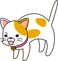 猫 ねこ ペット 飼い猫 ポーズ 雑種 MIX ミックス