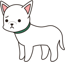 白い犬 ドッグ わんわん 散歩　表情