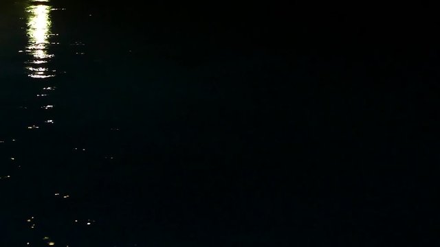 Video Background of moody rain drops falling in dark pool at night