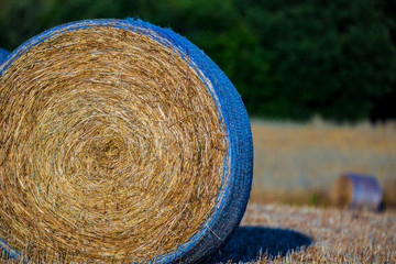 Colline toscane con covoni