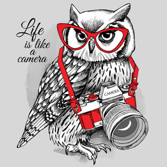 Fototapeta premium Owl in red glasses with a camera on gray background. Vector illustration.