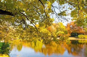Fototapeta premium Meditation, Relaxation, Silence, Free Time: Wonderful day in autumn with colorful trees at a silent lake :)
