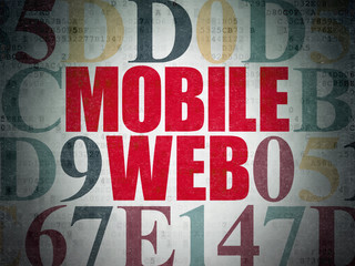 Web development concept: Mobile Web on Digital Data Paper background