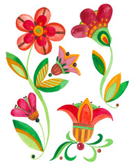 ботаническая иллюстрация, акварельные растения и цветы, красные бутоны