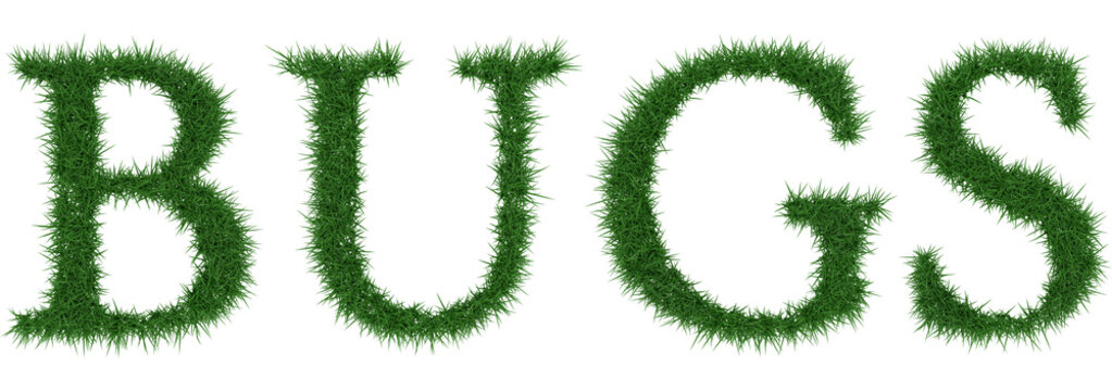 Bugs - 3D rendering fresh Grass letters isolated on whhite background.