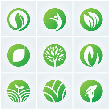 Ecology leaves logo and Green logo symbols design for organic food, natural product , Health care icon, Vector illustration. 