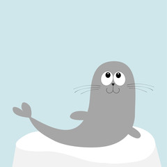 Sea lion. Harp seal pup lying on iceberg ice. Cute cartoon character. Happy baby animal collection. Sea ocean water. Blue background. Flat design