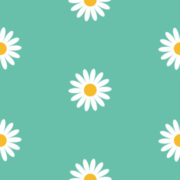 White daisy chamomile flower icon. Cute camomile plant collection. Growing concept. Seamless Pattern Wrapping paper, textile template. Green background. Flat design.