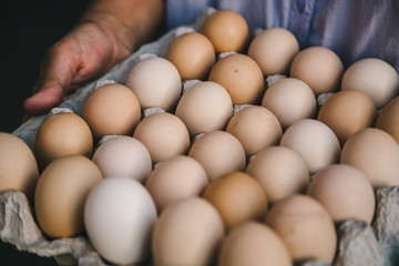 Crop person holding paper carton with dozens of fresh eggs. 