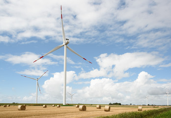 Abgeerntetes Getreidefeld mit Windrädern