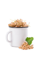 White cup with white currant berry in it and small bunch of white currant with green leaf isolated on white..