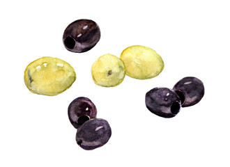 Green and black olive vegetables. Watercolor